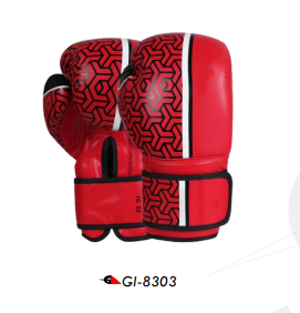 BOXING GEAR